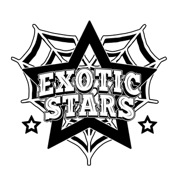 exotic stars